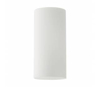 SE21-AC-W12 ADEPT WHITE GLASS B1