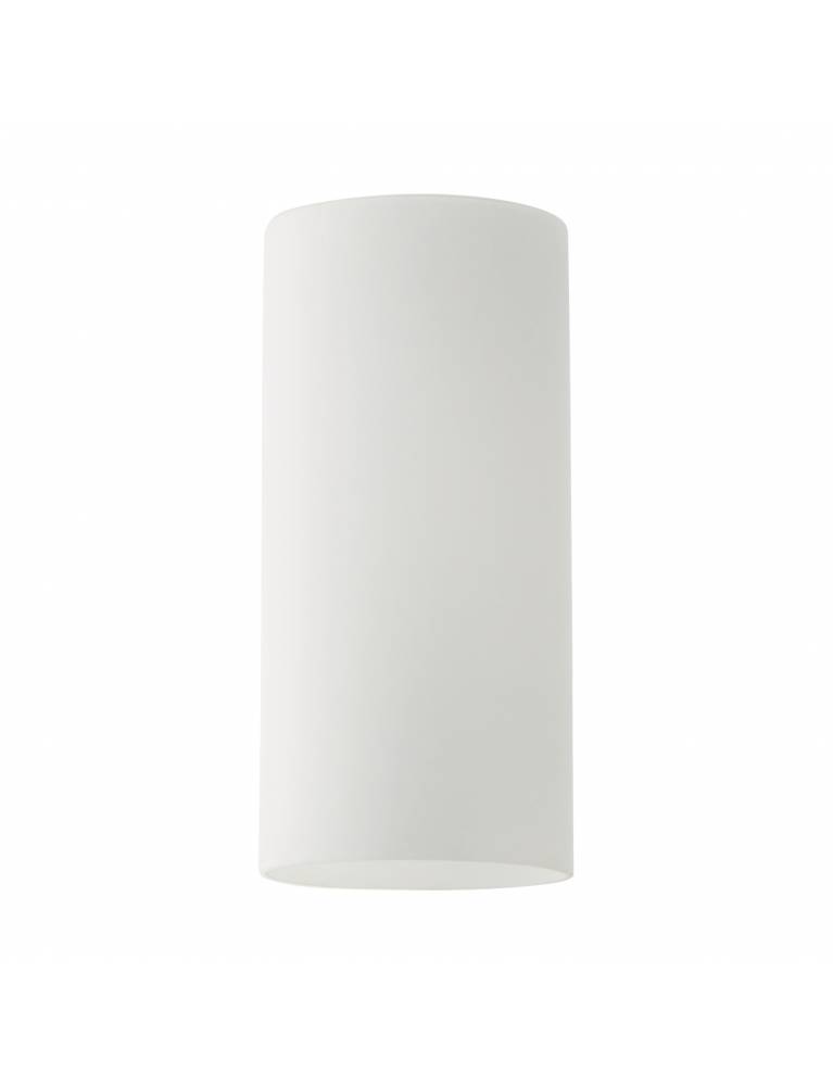 SE21-AC-W12 ADEPT WHITE GLASS B1