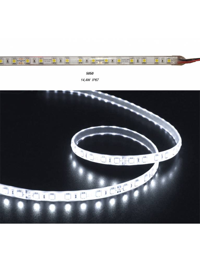 ΤΑΙΝΙΑ LED 5m 24VDC 14.4W/m 60LED/m ΨΥΧΡΟ IP67 eco