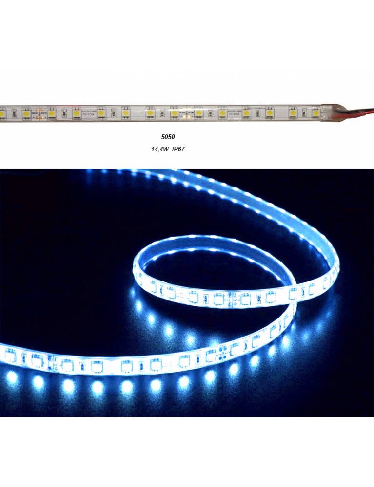 ΤΑΙΝΙΑ LED 5m 24VDC 14.4W/m 60LED/m ΜΠΛΕ IP67 eco